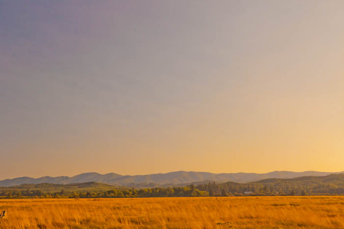 Oregon Fields - Simple Circle Photography